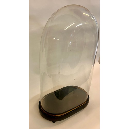 171 - Similar To Last Lot Large Glass Taxidermy Dome. 64cm x 36cm x 19cm.