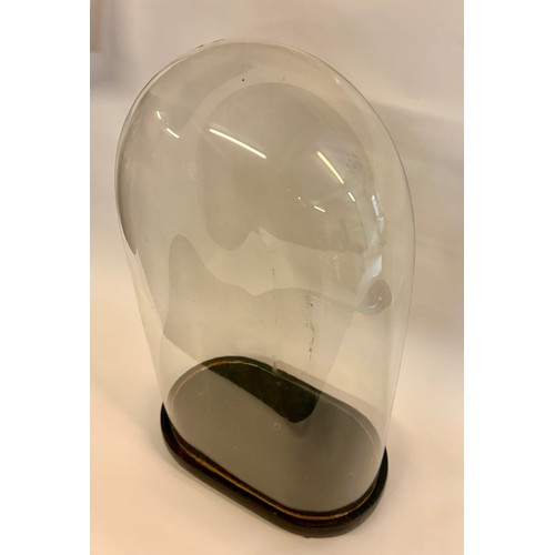 171 - Similar To Last Lot Large Glass Taxidermy Dome. 64cm x 36cm x 19cm.