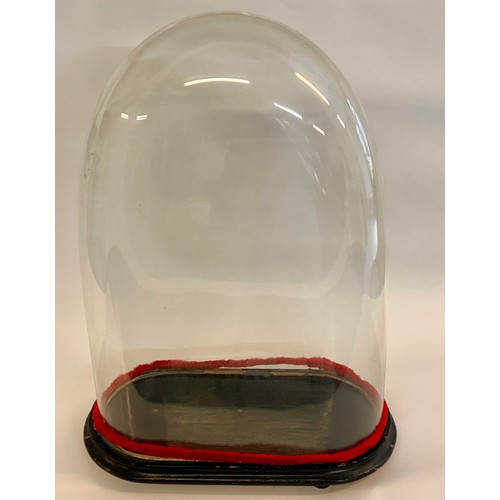 172 - Similar To Last Lot Large Glass Taxidermy Dome. 61cm x 42cm x 19cm.