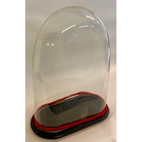 172 - Similar To Last Lot Large Glass Taxidermy Dome. 61cm x 42cm x 19cm.
