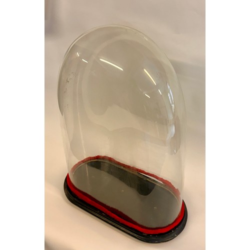 172 - Similar To Last Lot Large Glass Taxidermy Dome. 61cm x 42cm x 19cm.