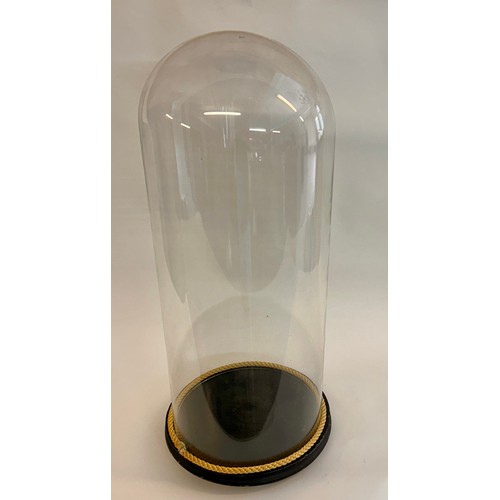 173 - Similar To Last Lot Circular Glass Taxidermy Dome. 63cm x 24cm.