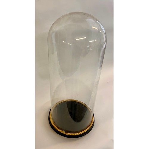 173 - Similar To Last Lot Circular Glass Taxidermy Dome. 63cm x 24cm.
