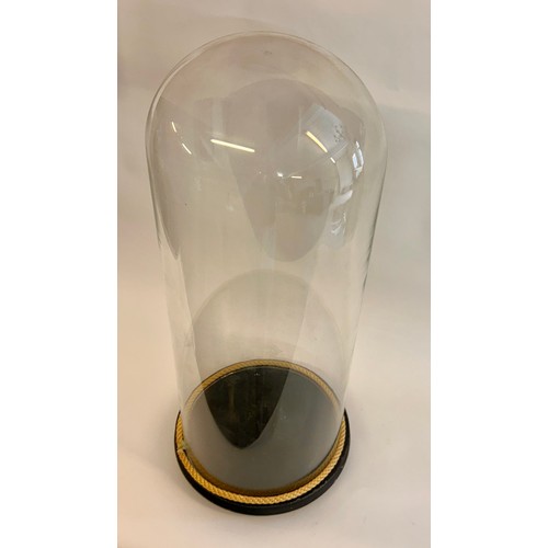 173 - Similar To Last Lot Circular Glass Taxidermy Dome. 63cm x 24cm.