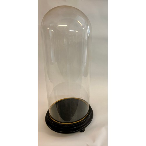 174 - Circular Glass Taxidermy Dome. 60cm x 23cm.
