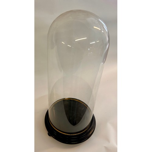 174 - Circular Glass Taxidermy Dome. 60cm x 23cm.