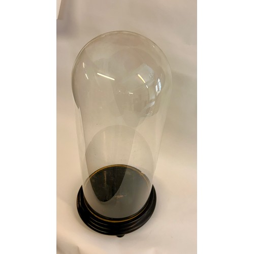 174 - Circular Glass Taxidermy Dome. 60cm x 23cm.