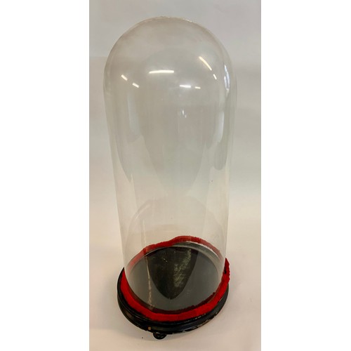 175 - Similar To Last Lot Circular Glass Taxidermy Dome. 55cm x 22cm.
