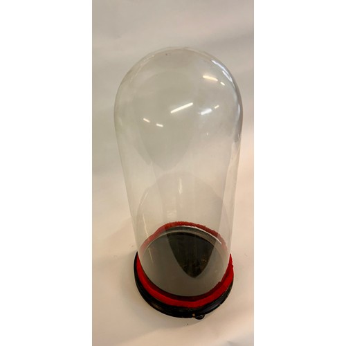 175 - Similar To Last Lot Circular Glass Taxidermy Dome. 55cm x 22cm.