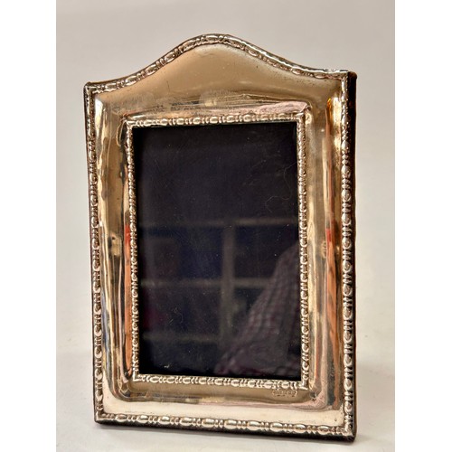 Lot 223       