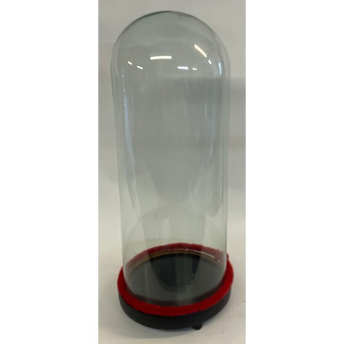 171A - Large Antique Glass Taxidermists Dome 62cms High With Stand.