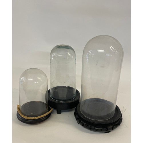 173A - Three Small Taxidermy Glass Domes, Tallest 28 cms With Stand. (3)