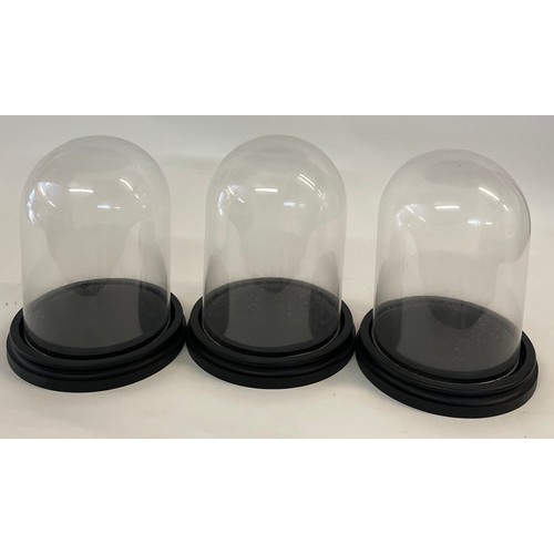 173B - Three Taxidermy Glass Domes Internal Dome Size 19 x 14.5 cms (3)