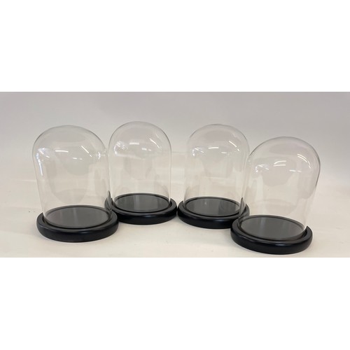 173E - Four Taxidermy Glass Domes Internal Dome Size 12 x 15.5 cms (4)