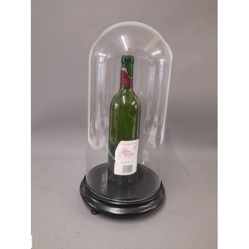 96 - Taxidermy Glass Dome, Internal Measurements, 36cm x 18cm