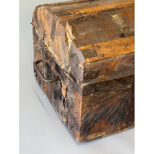24 - Antique Domed Top Hair On Hide  Trunk. 87 x 38 x 35 cms