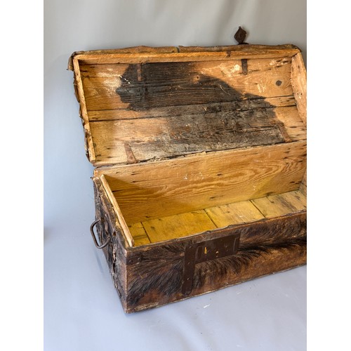 24 - Antique Domed Top Hair On Hide  Trunk. 87 x 38 x 35 cms