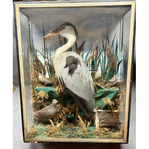 88 - Antique Glass Cased Taxidermy Scene of A Heron, Two Moorhens And Two Sandpipers. 84cm x 66cm x 24cm.... 