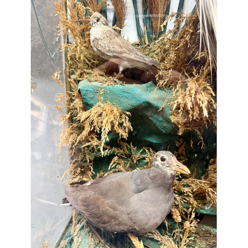 88 - Antique Glass Cased Taxidermy Scene of A Heron, Two Moorhens And Two Sandpipers. 84cm x 66cm x 24cm.... 