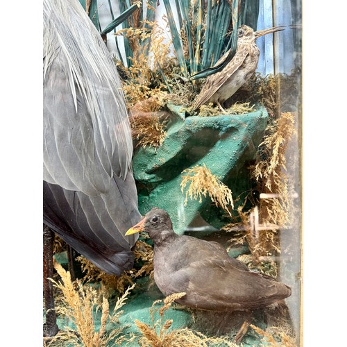 88 - Antique Glass Cased Taxidermy Scene of A Heron, Two Moorhens And Two Sandpipers. 84cm x 66cm x 24cm.... 