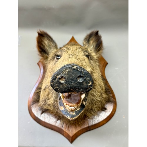 Lot 425       