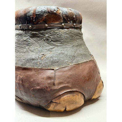 429 - Antique 19Th Century Taxidermy Elephant Foot Stall. 33cm x 29cm. A/F