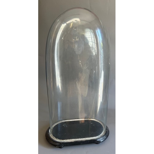 Lot 244       