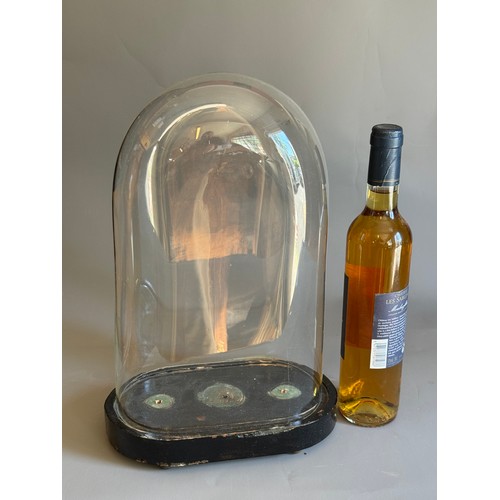 Lot 245       
