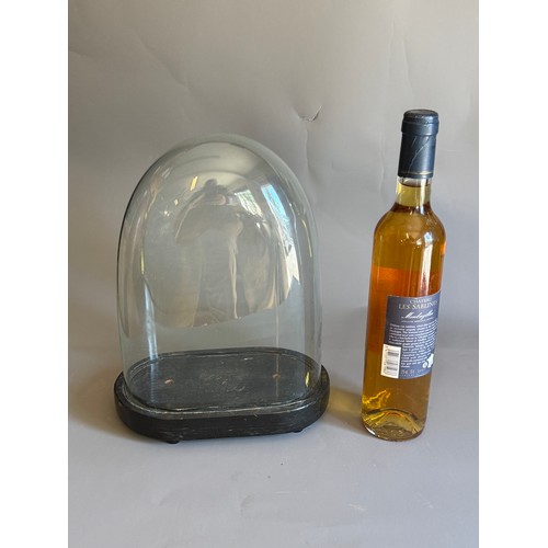 Lot 246       