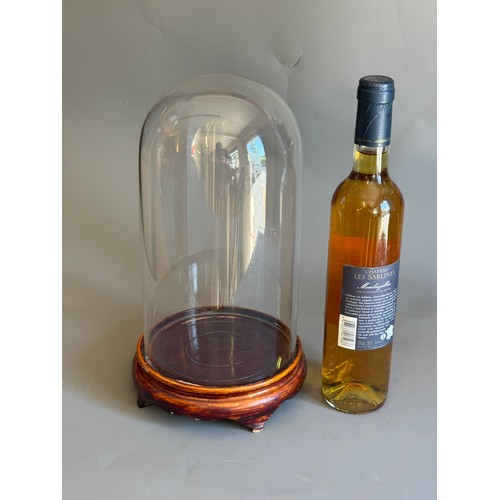 Lot 247       