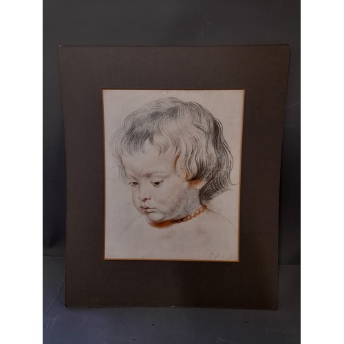 Lot 304       