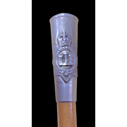 59 - Devonshire Regiment Swagger Stick