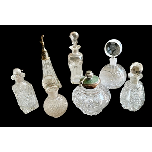Lot 6         