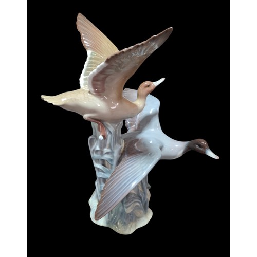 Lot 26        