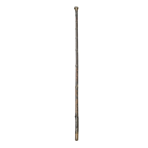 8 - Bamboo Sword / Dagger Stick with Horn Fist Handle.