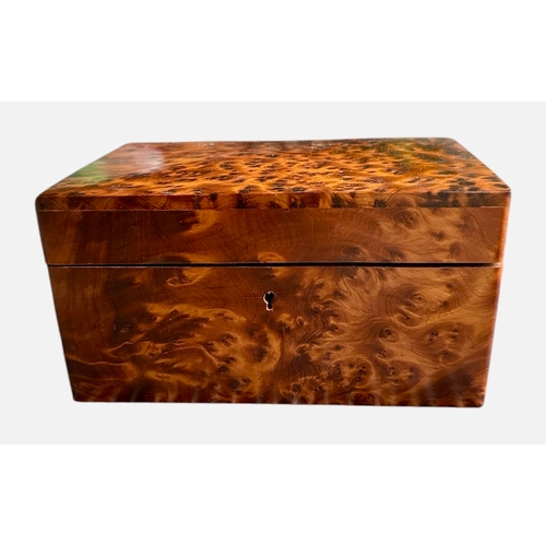 105 - Thuja Wood Burr Keepsake / Jewellery Box 21cm x 14cm x 11cm