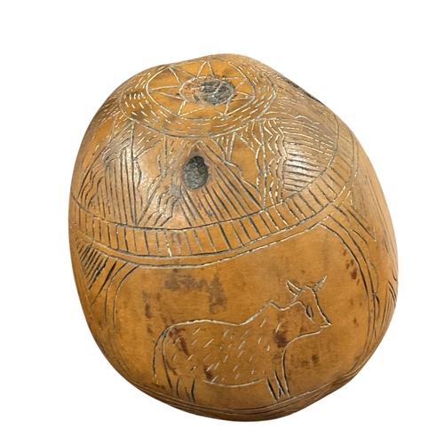 246 - A Primitively Carved Coconut Shaker with Crocodile Decoration.