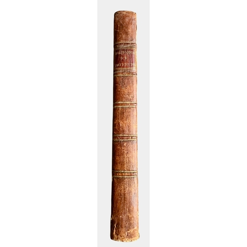 Lot 11        