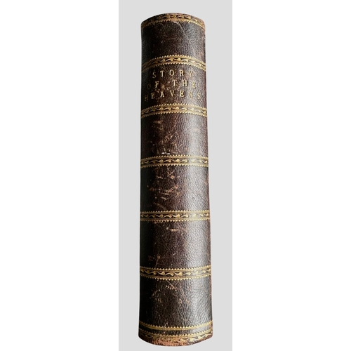 Lot 20        