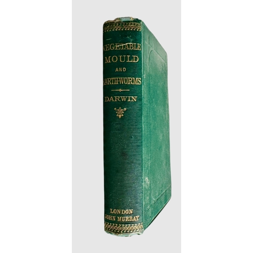 Lot 40        