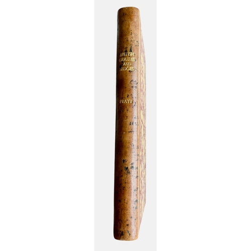 Lot 41        