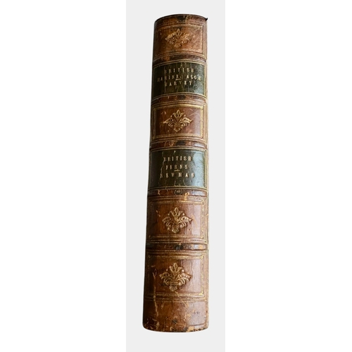 Lot 45        