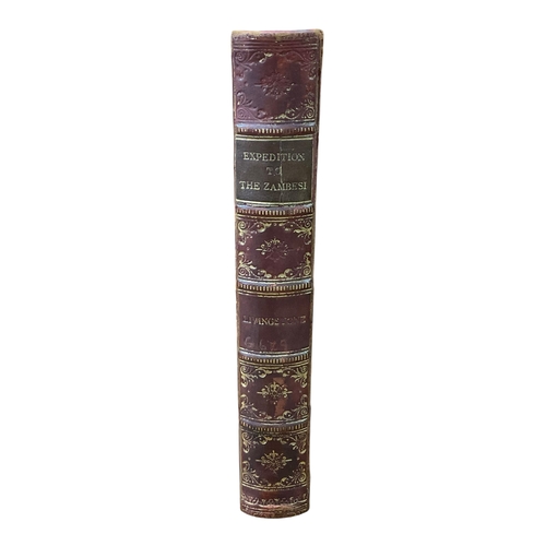 Lot 55        