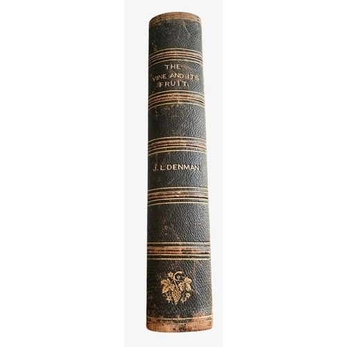 Lot 46        