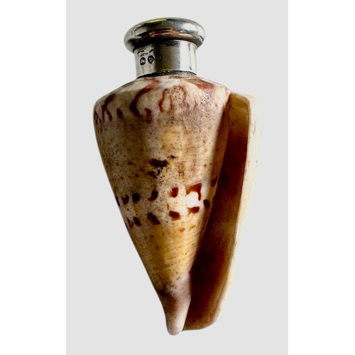 249 - Sampson Mordan Real Shell Silver Topped Novelty Scent Bottle 1885 Size 6.3cm