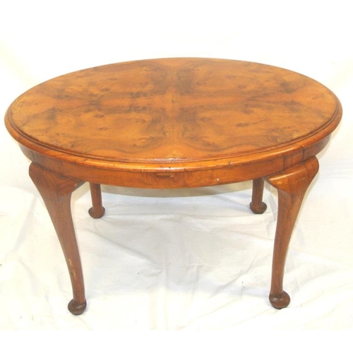 51 - Victorian walnut oval occasional or coffee table with rounded borders, on cabriole legs with pad fee... 
