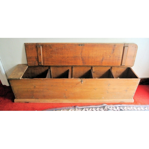 171 - Oblong pine coffer with lift-up lid, on oblong plinth