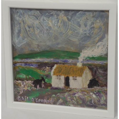 288 - Cahill O'Connor 'West of Ireland cottage' oil on board 40x40cm signed