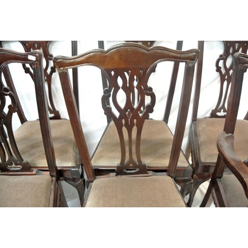 344 - Set of 8 Chippendale style mahogany dining chairs with pierced wheatsheaf splats, shaped tops, up ho... 