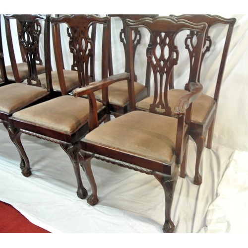 344 - Set of 8 Chippendale style mahogany dining chairs with pierced wheatsheaf splats, shaped tops, up ho... 